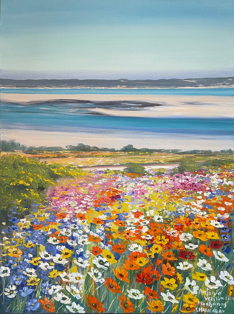 Overlooking Shark Bay in Spring - Antonia Velissariou.