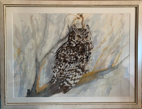 Spotted Eagle Owl - Joan Schrauwen.
